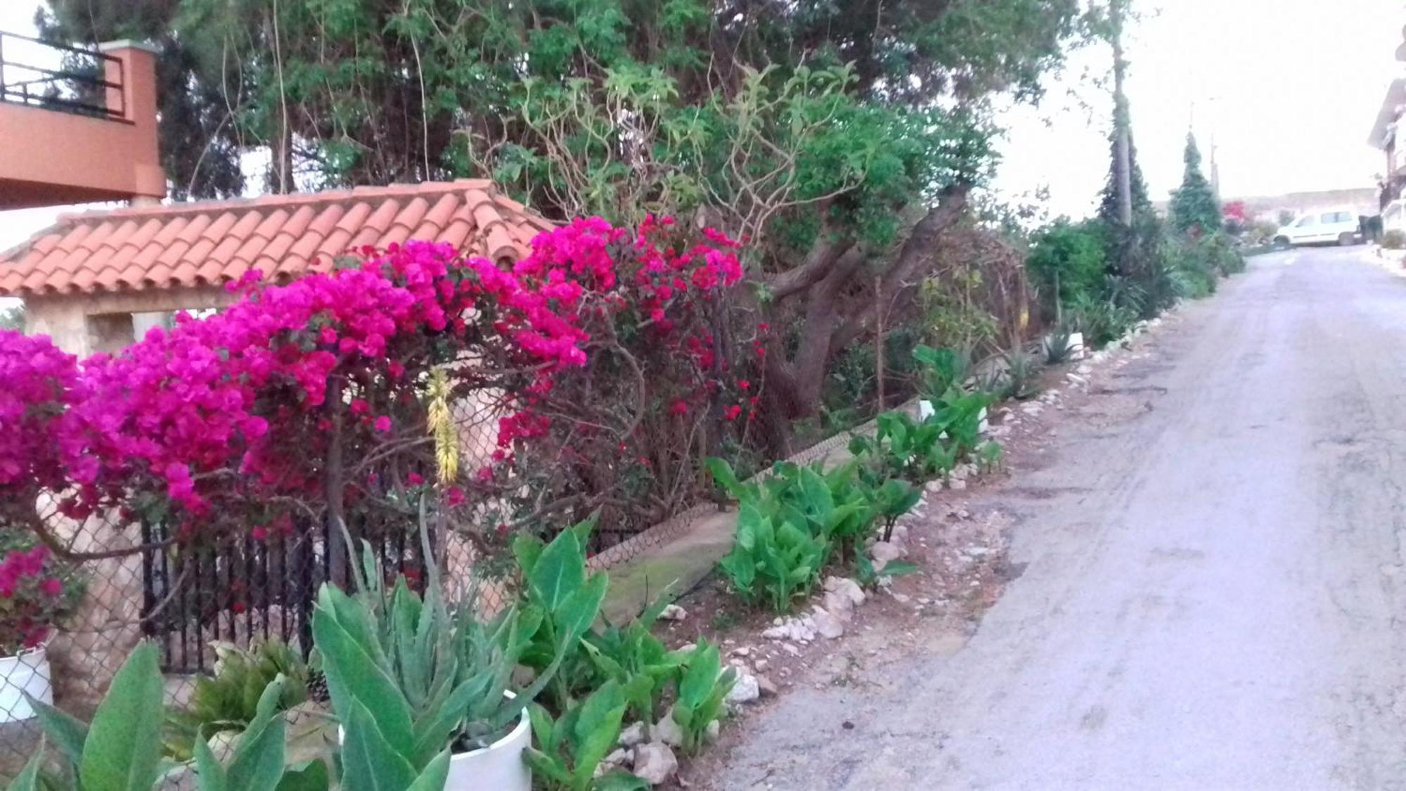 Casa Rural Complex Masia Del Tremendo Y Agroturismo Camarles Luaran gambar
